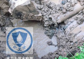 龙安区水管漏水检测公司5